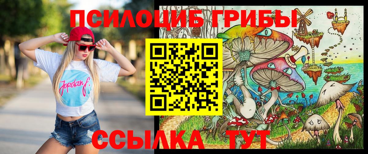 Псилоцибиновые грибы мухоморы Мурманск