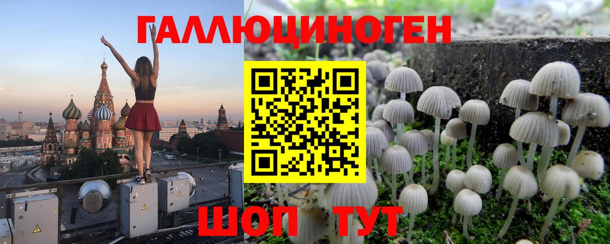 Мурманск  наркота  Вход с VPN  Псилоцибиновые грибы мицелий  Галлюциногенные грибы ЛСД 